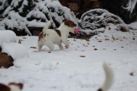 IMG 4768